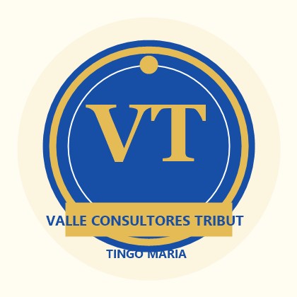 Valle Consultores Tributarios Tingo María
